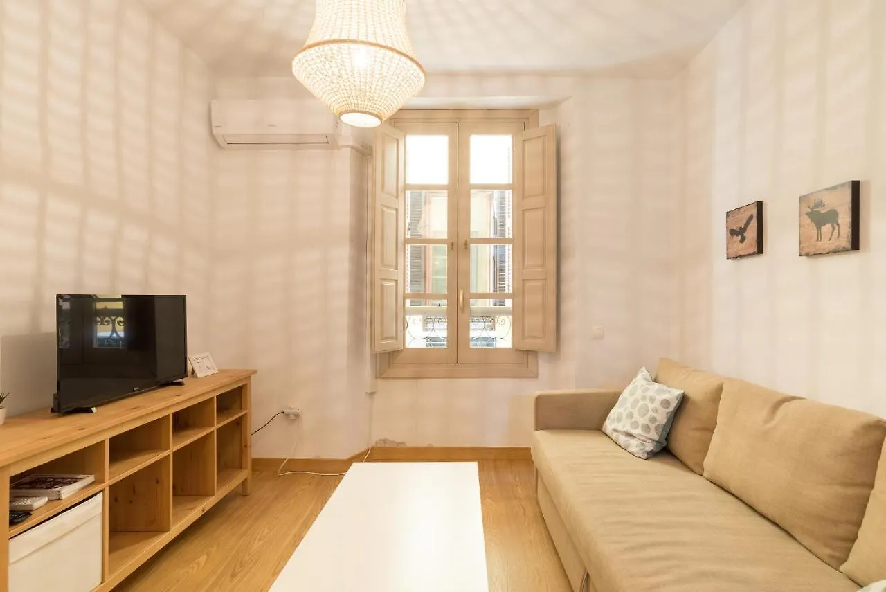 Acogedor Apartamento En El Centro Historico De Malaga - Mitjana Apartment Spain